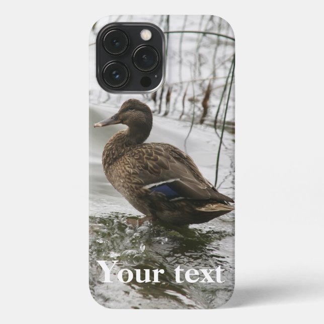 Grey duck on dark the lake iPhone case (Back)