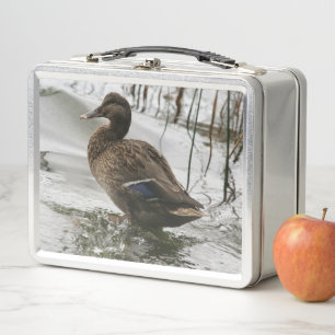 Grey duck on dark the lake metal lunch box