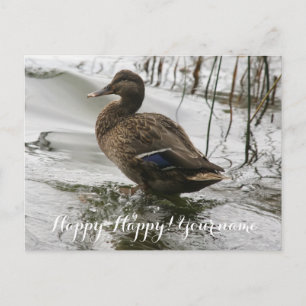 Grey duck on dark the lake postcard