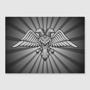 Grey eagle with two heads