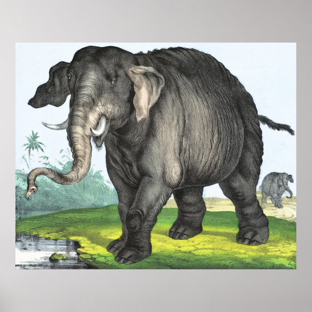 Grey Elephant Poster (Front)
