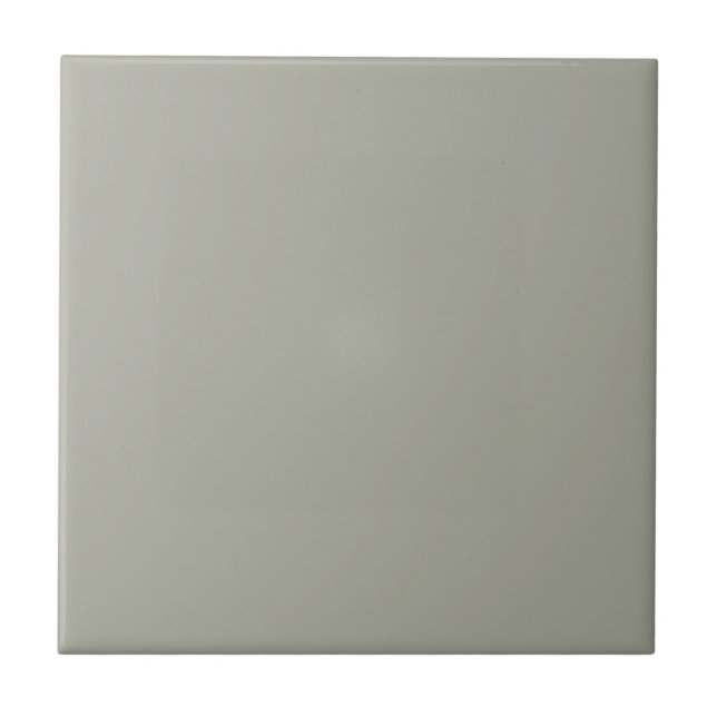 Grey Escape Square Kitchen and Bathroom Tile (Front)