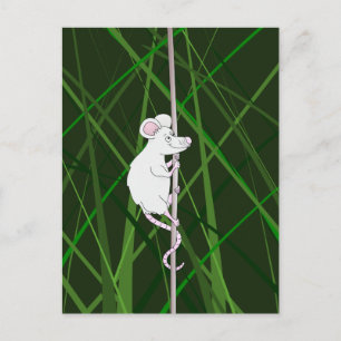 Grey field mouse in the tall grass postcard