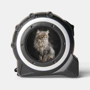 Grey Fluffy Cat 1