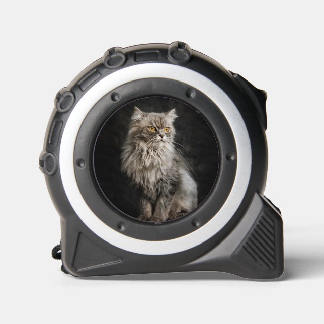 Grey Fluffy Cat  1 (Front)