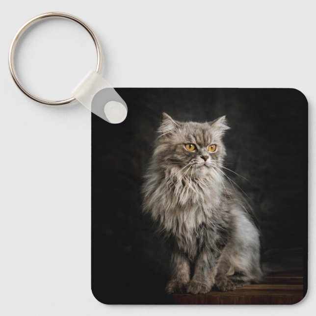 Grey Fluffy Cat  Key Ring (Front)