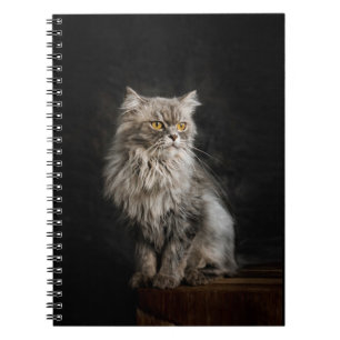 Grey Fluffy Cat Notebook