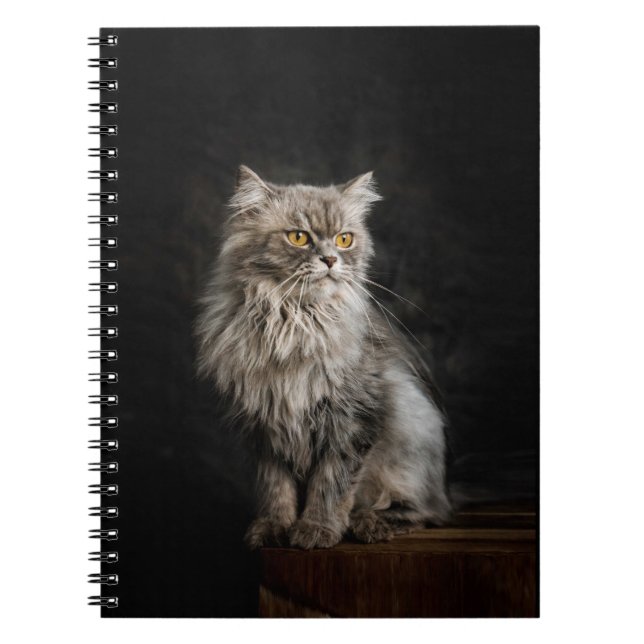 Grey Fluffy Cat  Notebook (Front)