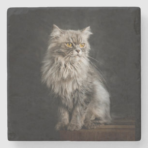 Grey Fluffy Cat  Stone Coaster