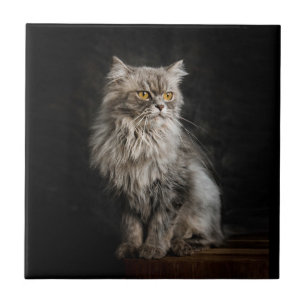 Grey Fluffy Cat  Tile