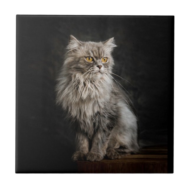 Grey Fluffy Cat  Tile (Front)