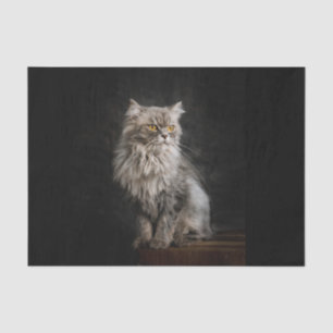 Grey Fluffy Cat Tissue Paper