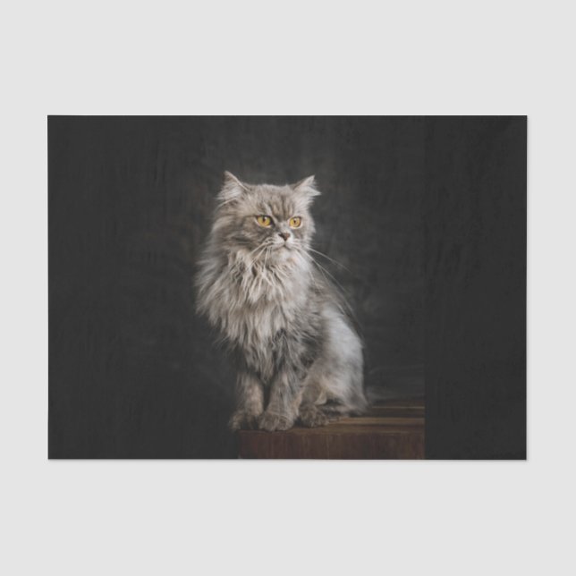 Grey Fluffy Cat  Tissue Paper (Front)
