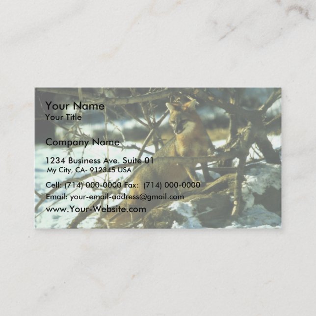Grey Fox Business Card (Front)