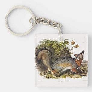 Grey Fox / Grey Fox Audubon's American Quadrupeds Key Ring
