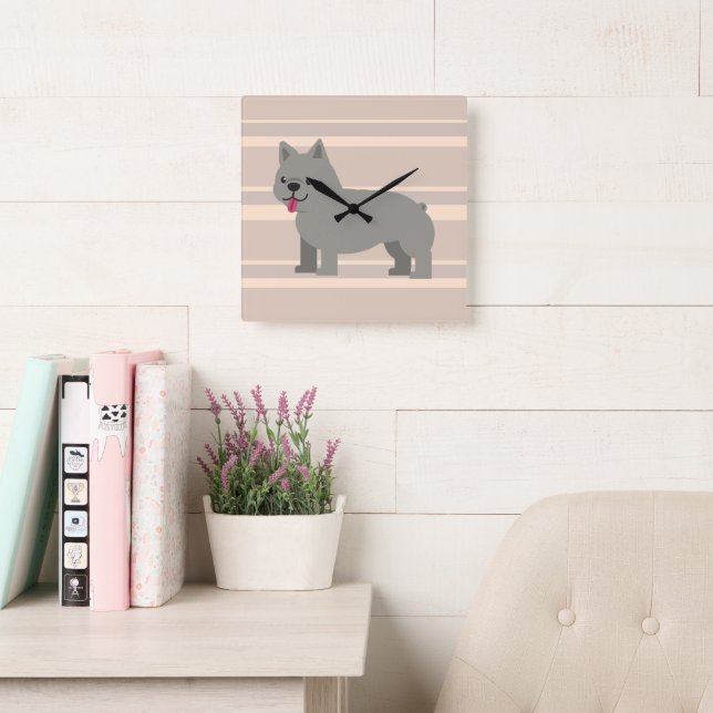 Grey French Bulldog, Beige Striped Square Wall Clock (Reading Room)