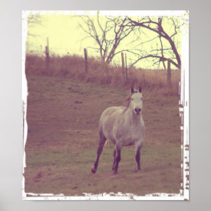 Grey Gallop Poster