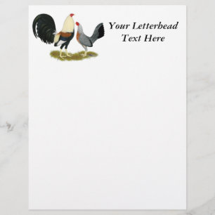 Grey Game Fowl Pair