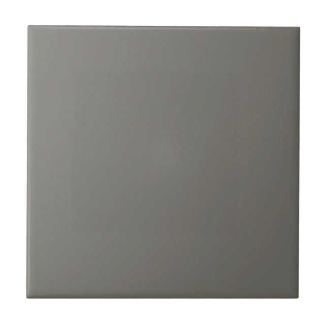 Grey Gauntlet Square Kitchen and Bathroom Tile (Front)