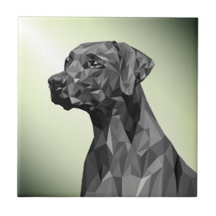 Grey Geometric Dog Green Tile