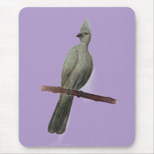 Grey-go-away bird pencil drawing mouse mat
