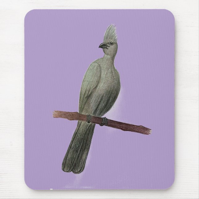 Grey-go-away bird pencil drawing mouse mat (Front)