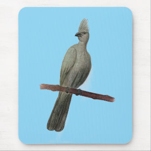 Grey-go-away bird pencil drawing mouse mat