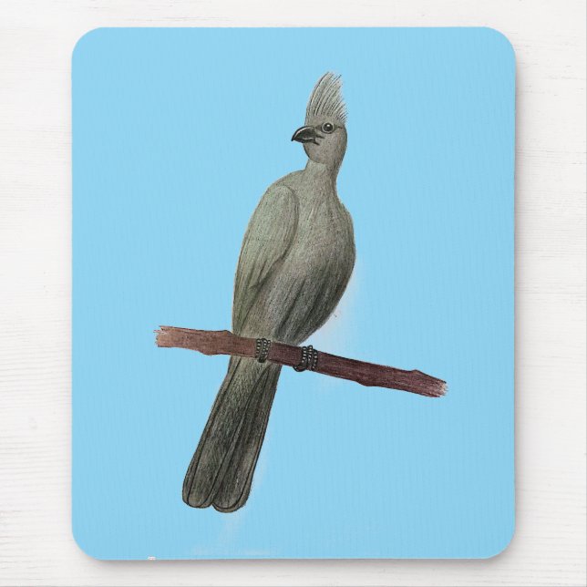Grey-go-away bird pencil drawing mouse mat (Front)