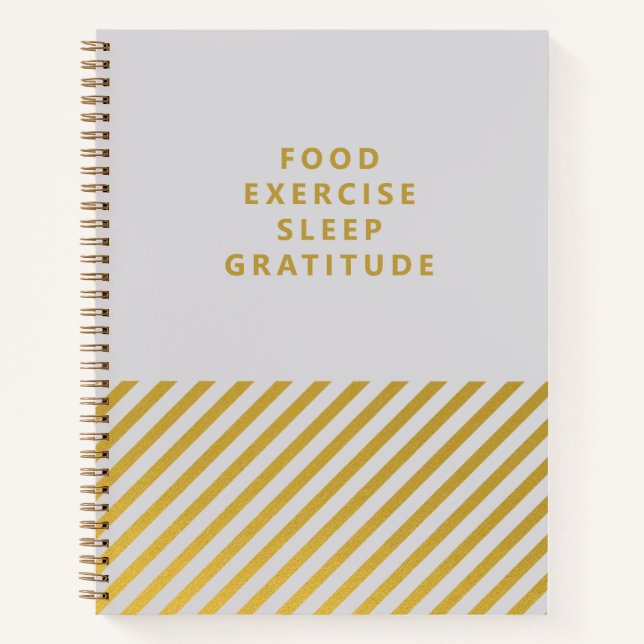 Grey Gold Stripes Minimalist Gratitude Journal (Front)