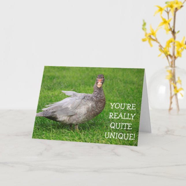 Grey Goose Cute Flattery Birthday Card (Yellow Flower)