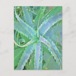 Grey Green Aloe Abstract Painting Postcard