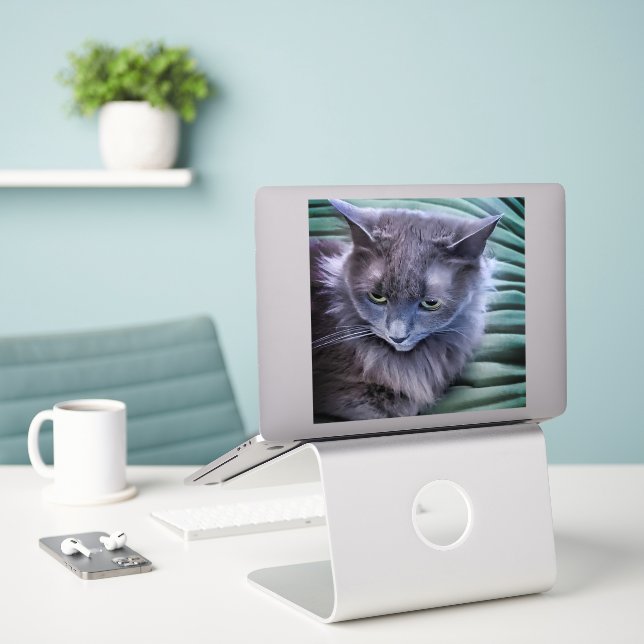 Grey Green Eyed Cat Custom-Cut Vinyl Sticker (Laptop On Desk)