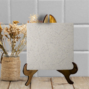 Grey Greige Crackled Glaze Simple Modern Texture Tile