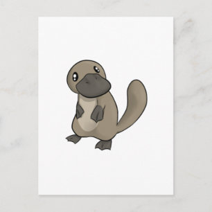 Grey/Grey Cartoon Platypus Postcard