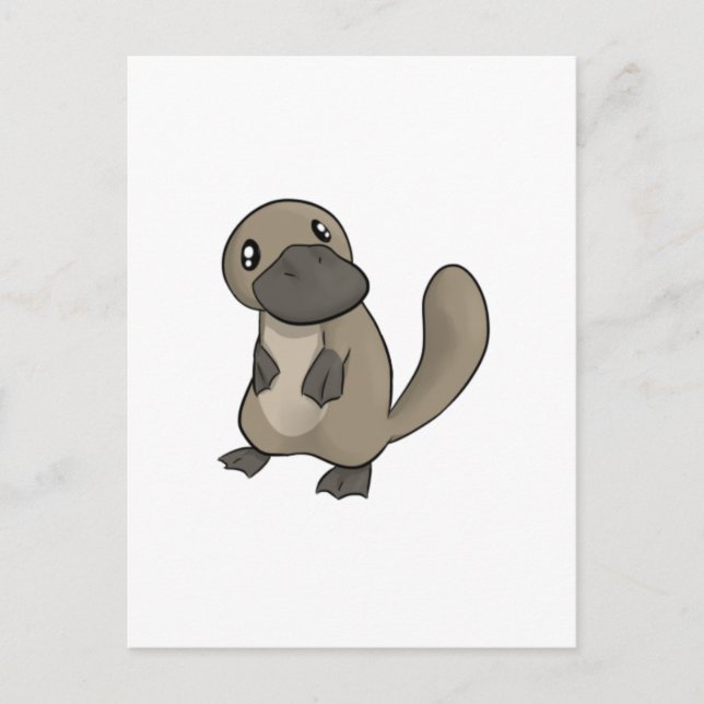 Grey/Grey Cartoon Platypus Postcard (Front)