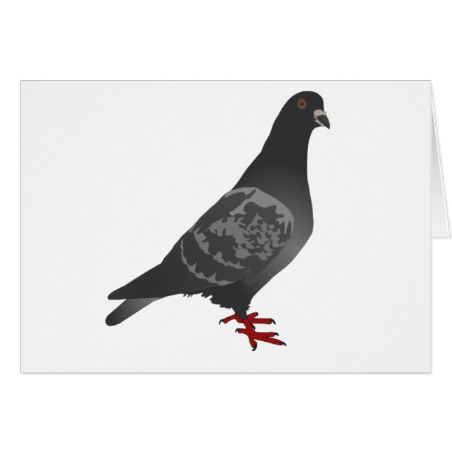 Grey/Grey Pigeon (Front Horizontal)