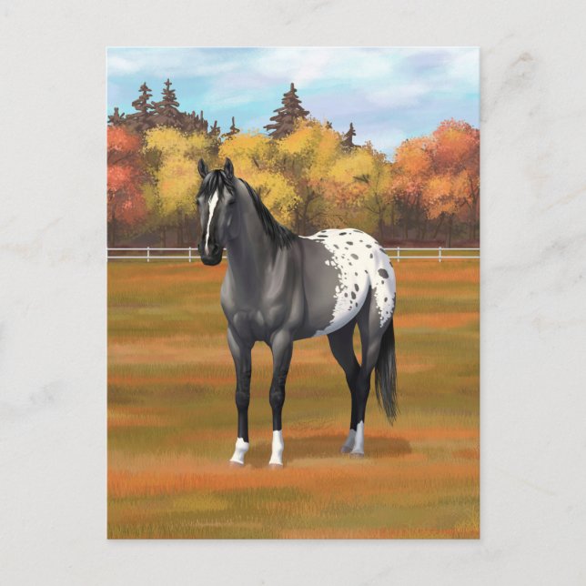Grey Grulla Appaloosa Grullo Quarter Horse Stallio Postcard (Front)