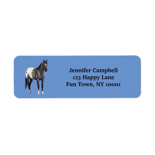Grey Grulla Appaloosa Quarter Horse Stallion (Front)