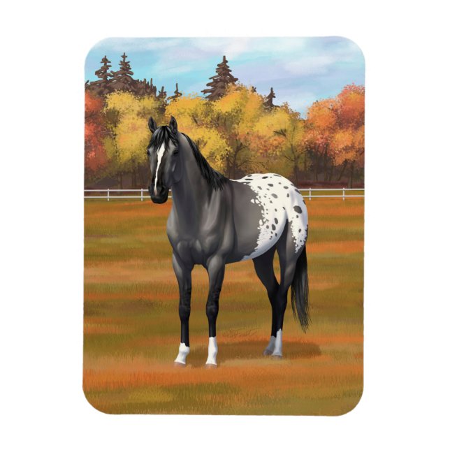 Grey Grulla Appaloosa Quarter Horse Stallion Magnet (Vertical)