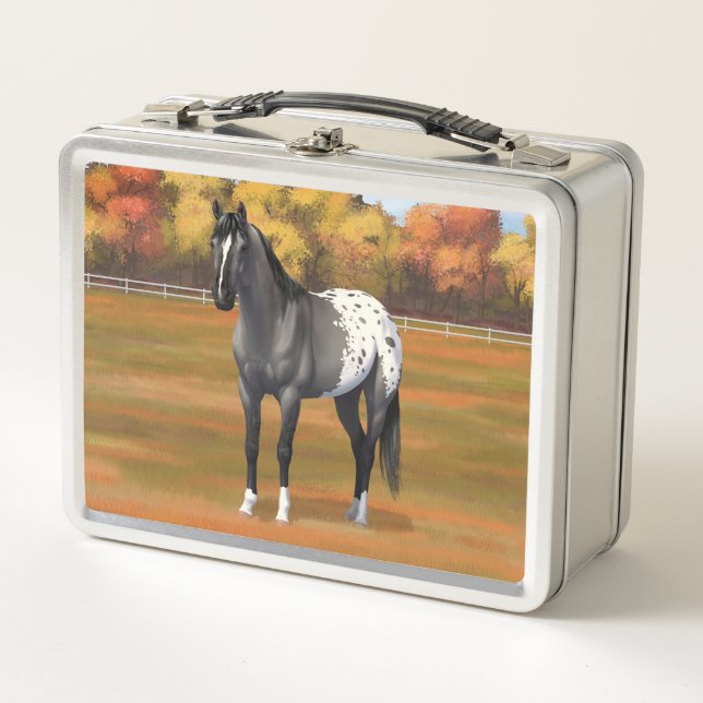 Grey Grulla Appaloosa Quarter Horse Stallion Metal Lunch Box (Front)