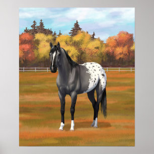 Grey Grulla Appaloosa Quarter Horse Stallion Poster