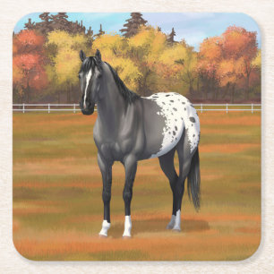 Grey Grulla Appaloosa Quarter Horse Stallion Square Paper Coaster