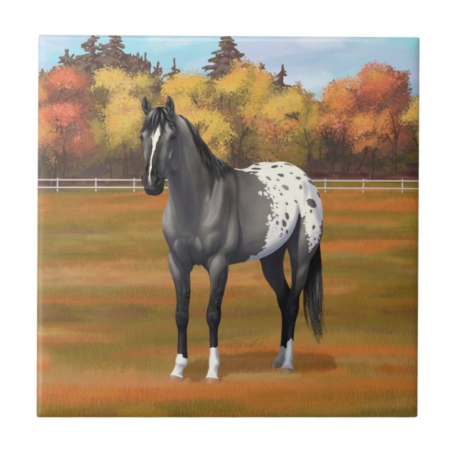 Grey Grulla Appaloosa Quarter Horse Stallion Tile (Front)