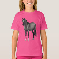 Grey Grulla Quarter Horse Stallion