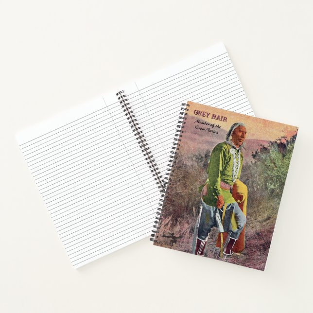 Grey Hair Native American Notebook (Inside)