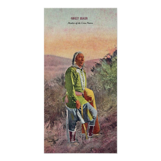 Grey Hair Native American Notebook Poster (Front)