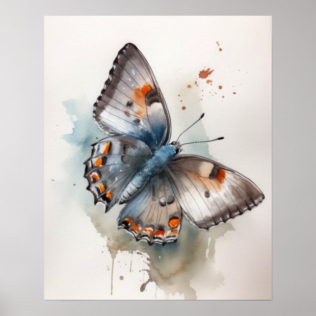 Grey Hairstreak Butterfly Art Print Poster (Front)