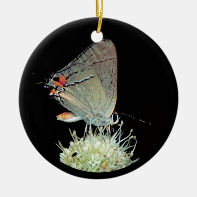 Grey Hairstreak Butterfly Ceramic Tree Decoration (Front)