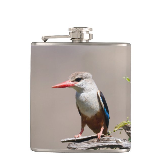Grey-Headed Kingfisher Hip Flask (Front)