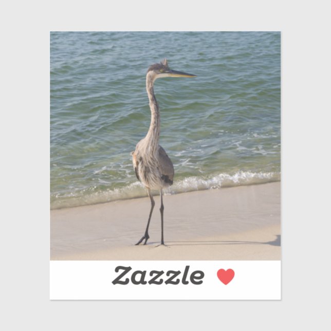 Grey Heron (Sheet)